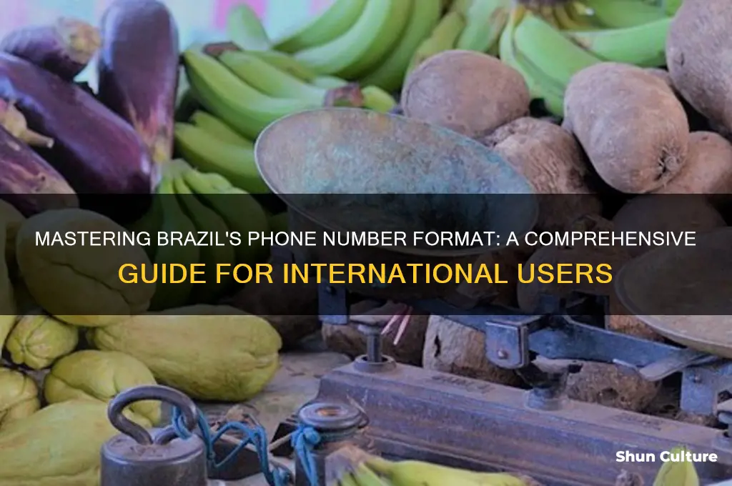 how to format brazil telephone number