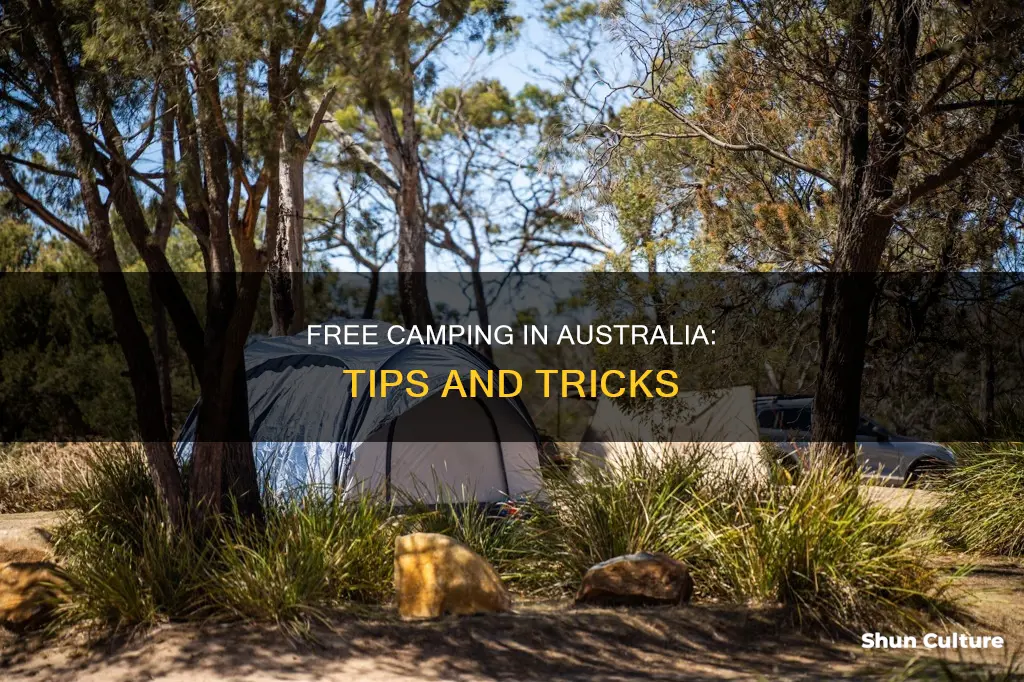 how to free camp in australia