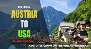 A Comprehensive Guide: Austria to USA Relocation Tips