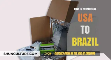 Shipping Frozen Cells from USA to Brazil: A Comprehensive Guide