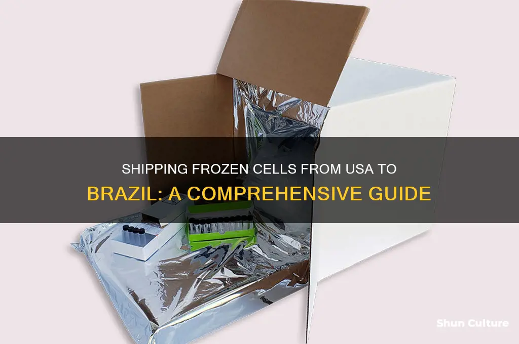 how to frozen cell usa to brazil
