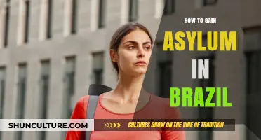 Seeking Safety: A Guide to Gaining Asylum in Brazil