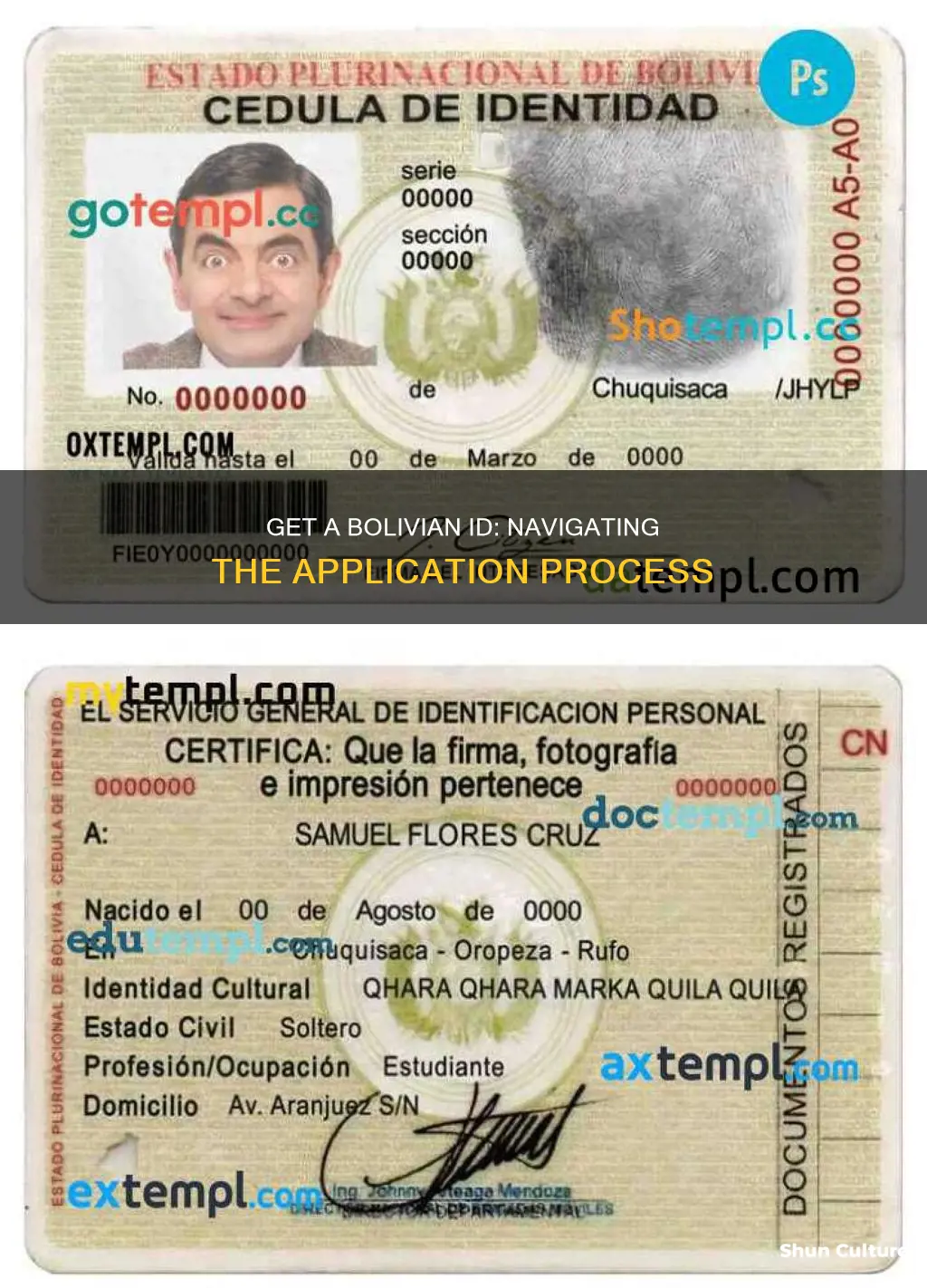 how to get a bolivian id card