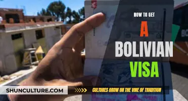 Travelers' Guide: Getting a Bolivian Visa Easily