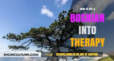 Breaking Barriers: Encouraging Bosnians to Embrace Therapy and Mental Health Support