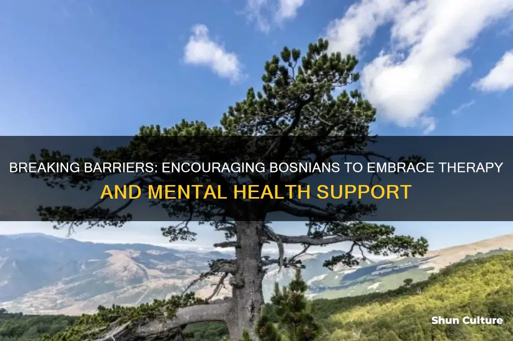 how to get a bosnian into therapy