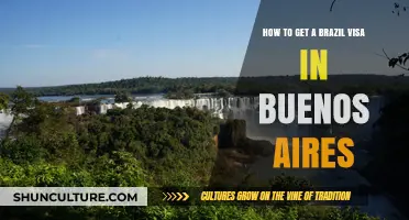 Your Guide to Obtaining a Brazil Visa in Buenos Aires