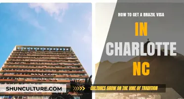 Your Guide to Obtaining a Brazil Visa in Charlotte, NC