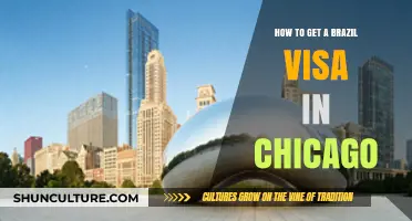 Your Guide to Obtaining a Brazil Visa in Chicago