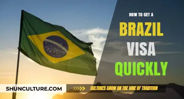 Quick Guide to Securing Your Brazil Visa in Record Time
