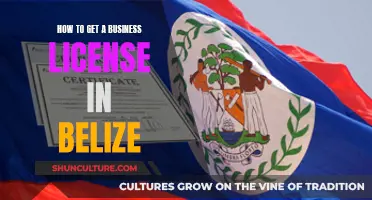 Get a Belize Business License: The Complete Guide