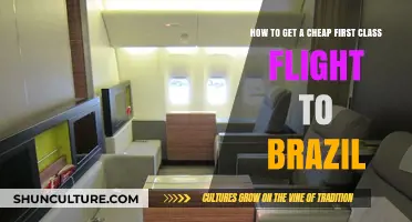 Score Affordable First Class Flights to Brazil: Insider Tips & Tricks
