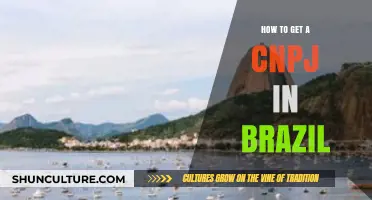 Step-by-Step Guide to Obtaining Your CNPJ in Brazil Easily