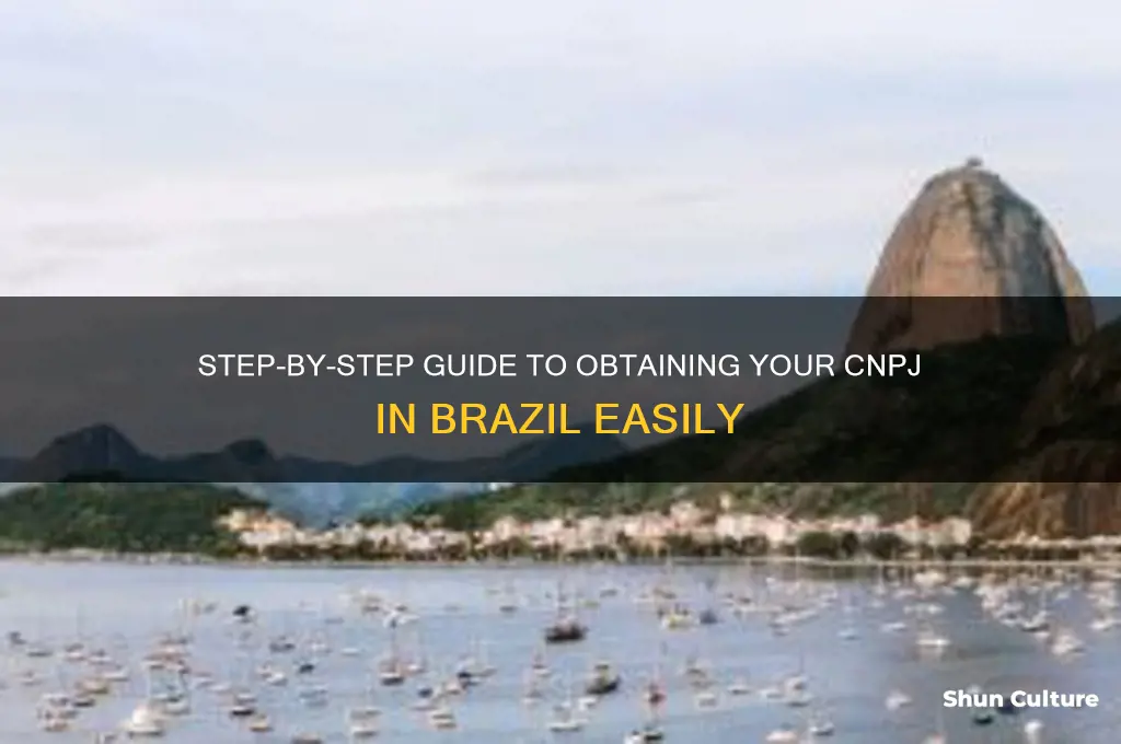 how to get a cnpj in brazil