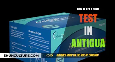 Easy Steps to Get a COVID-19 Test in Antigua