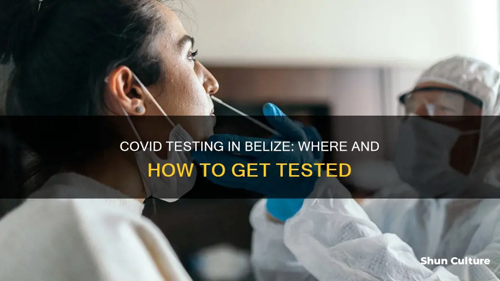 how to get a covid test in belize