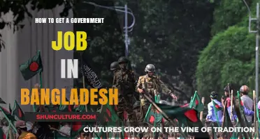 Securing a Government Job in Bangladesh: A Comprehensive Step-by-Step Guide
