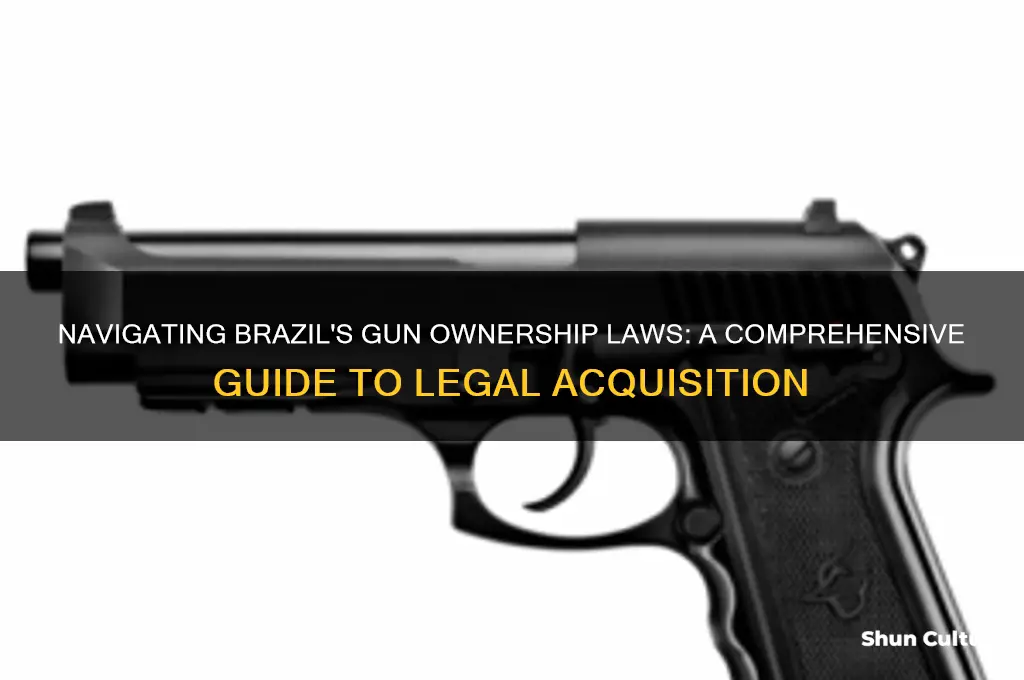 how to get a gun in brazil