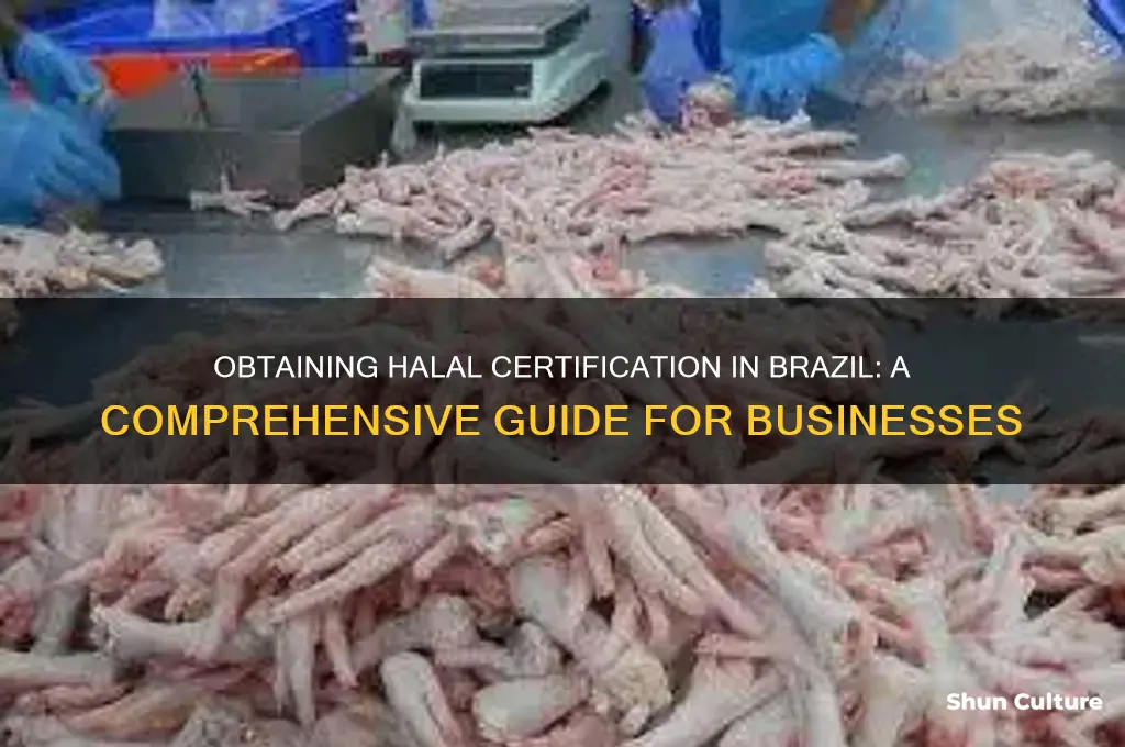 how to get a halal certificate in brazil