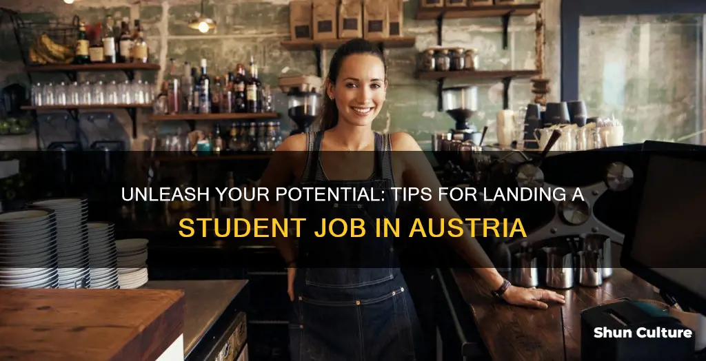 how to get a job as a student in austria