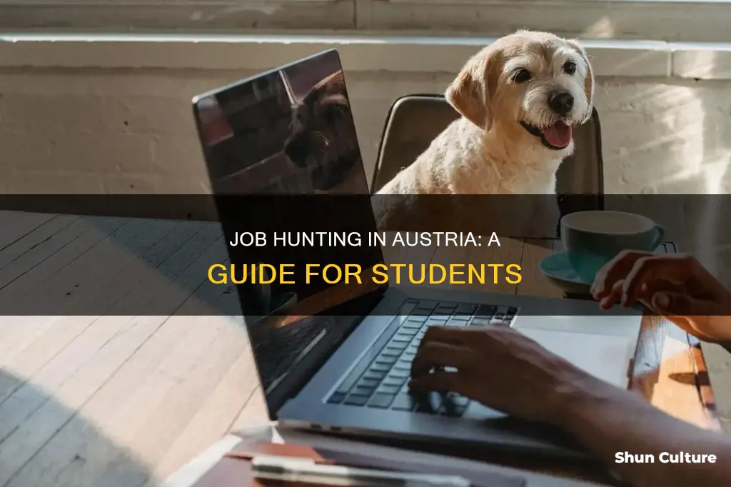 how to get a job as a student in austria