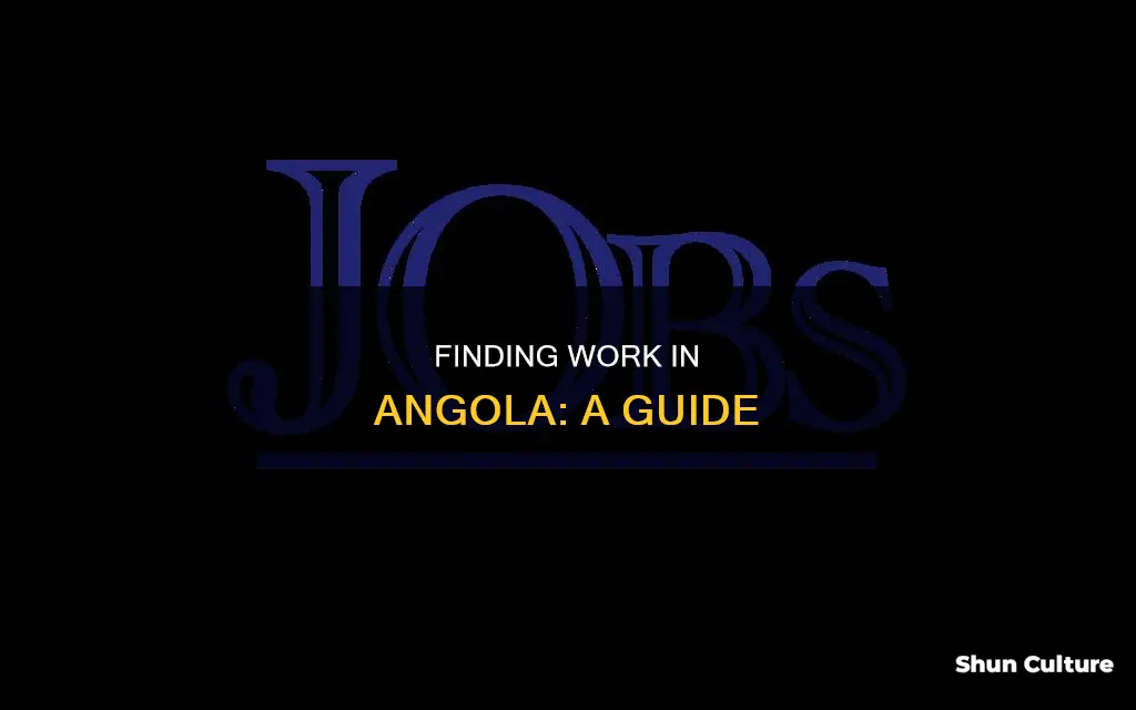 how to get a job in angola