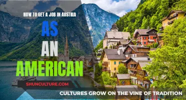 Unlocking Opportunities: A Guide to Landing Your Dream Job in Austria as an American