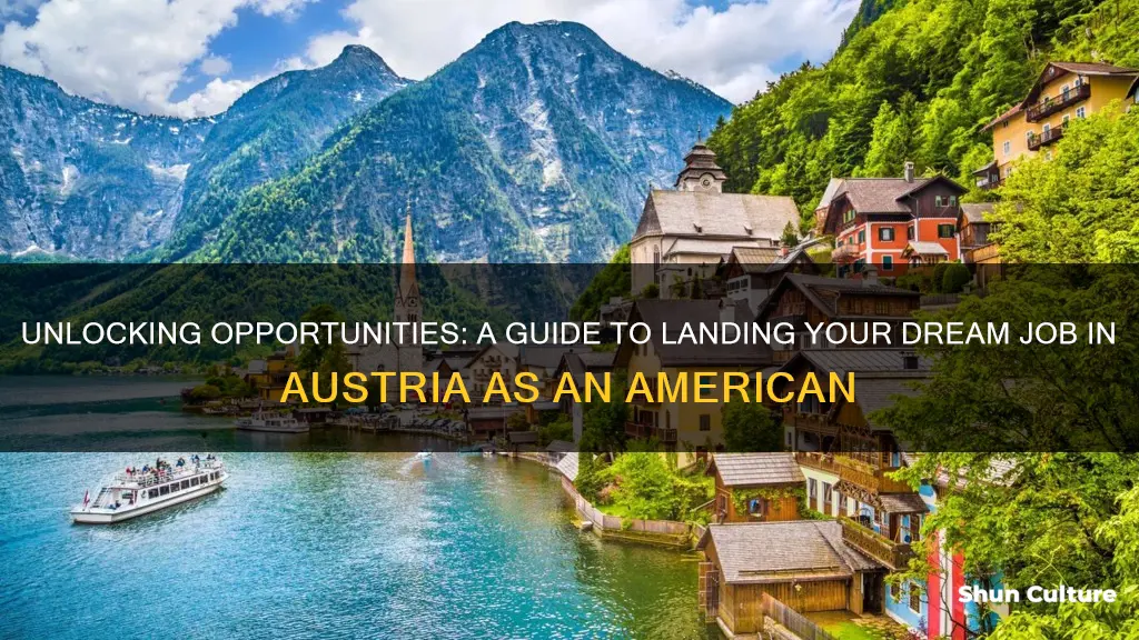 how to get a job in austria as an american