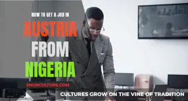 Unlocking Austrian Dreams: A Nigerian's Guide to Job Success