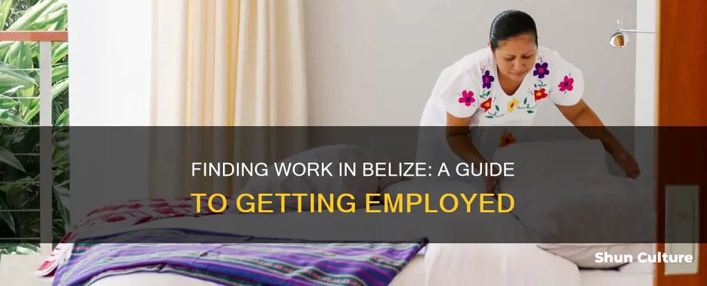 how to get a job in belize