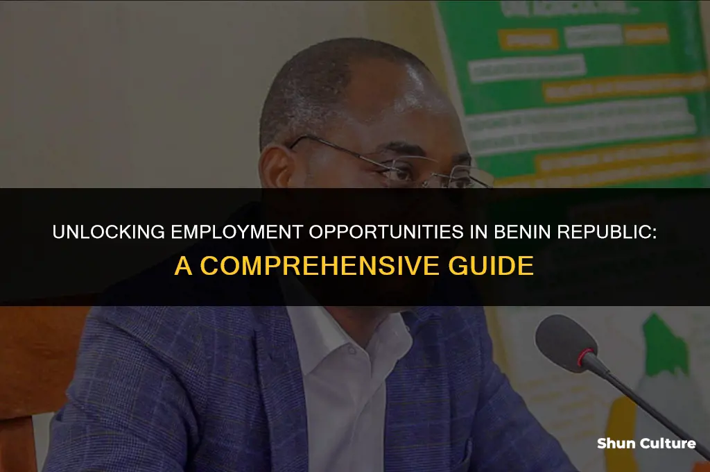 how to get a job in benin republic