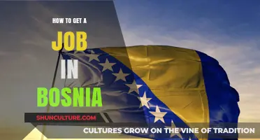 Unlocking Career Opportunities: Your Guide to Landing a Job in Bosnia