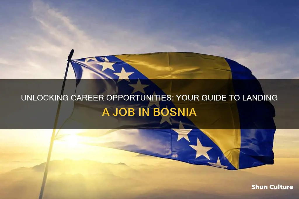 how to get a job in bosnia