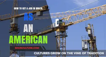 Navigating the Brazilian Job Market: A Guide for American Professionals