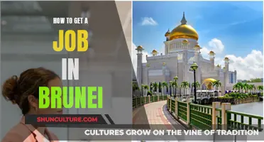 Finding Employment in Brunei: A Guide to Success