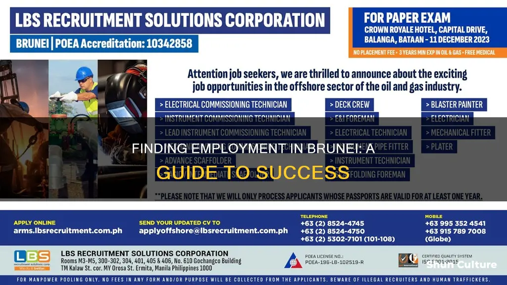 how to get a job in brunei