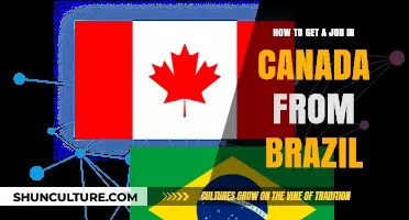 From Brazil to Canada: Your Ultimate Job Search and Relocation Guide