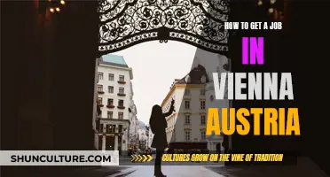 Unlocking Vienna's Job Market: Tips for Success in Austria