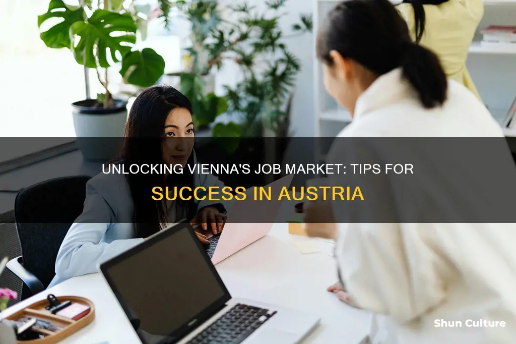 how to get a job in vienna austria