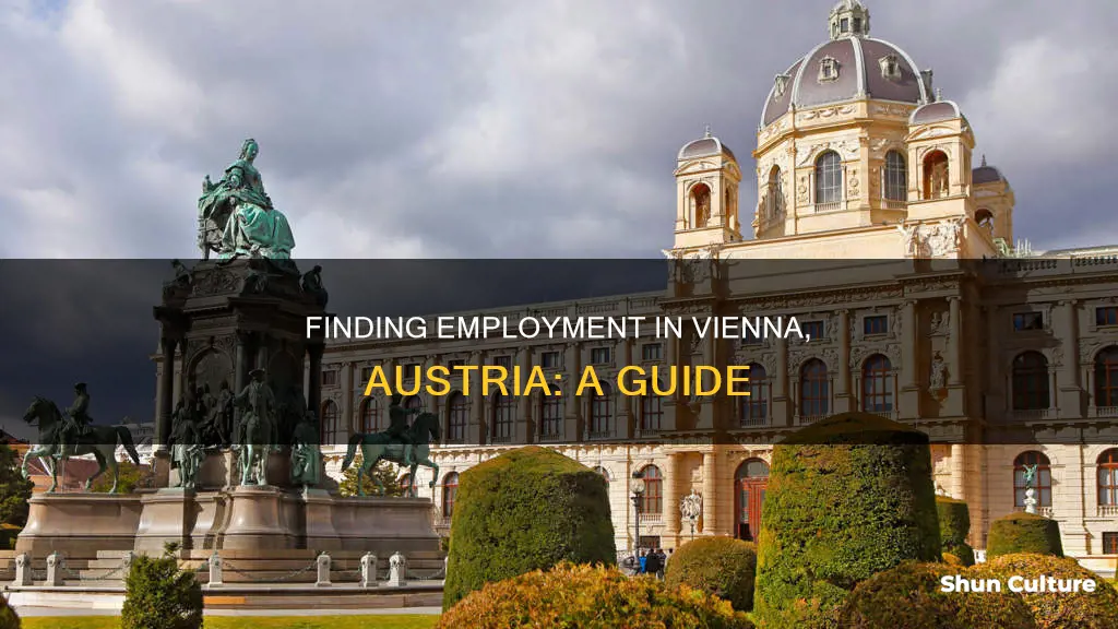 how to get a job in vienna austria