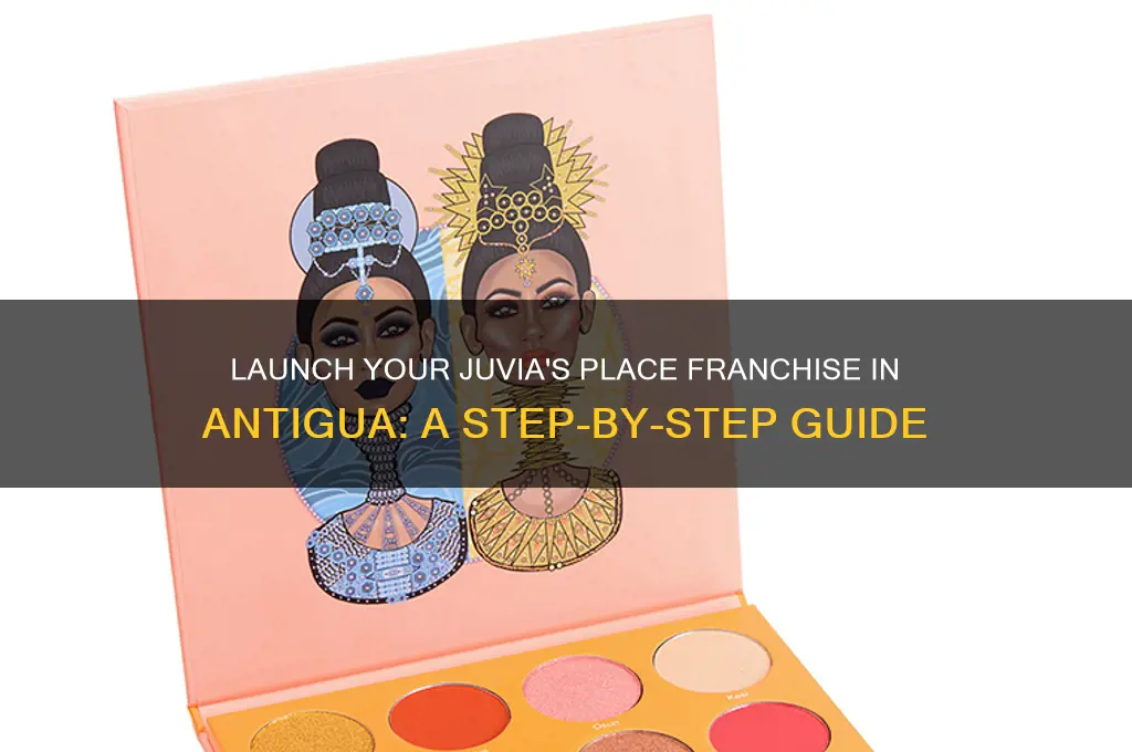 how to get a juvia place franchise in antigua