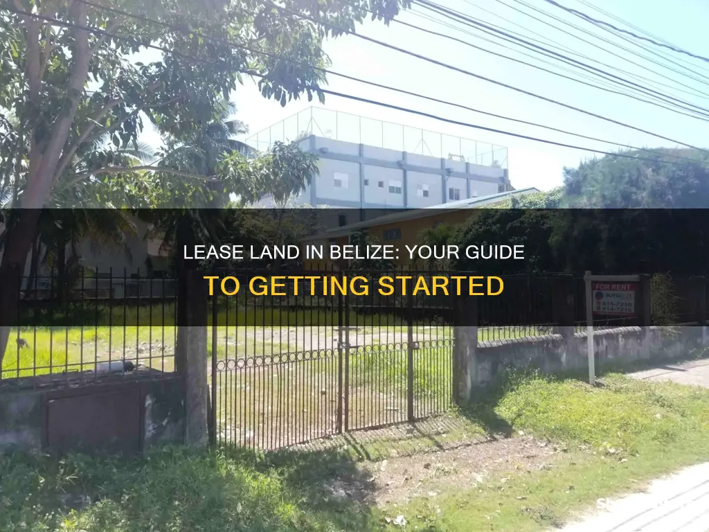 how to get a lease land in belize