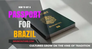 Your Complete Guide to Obtaining a Brazilian Passport Easily
