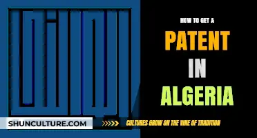 Securing Your Invention: A Guide to Patent Registration in Algeria