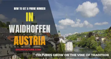 Unlocking Austrian Connections: A Guide to Getting a Phone Number in Waidhofen