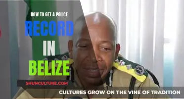 Get a Police Record in Belize: A Step-by-Step Guide