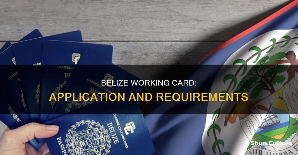 how to get a residents or working card in belize