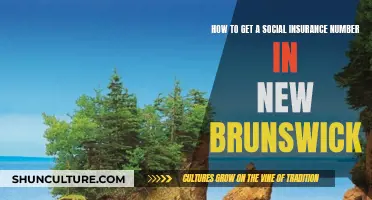 Getting a Social Insurance Number in New Brunswick