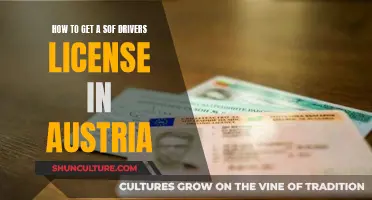 Unlocking the Road: A Guide to Getting Your Sof Driver's License in Austria