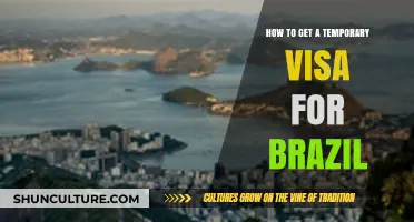 Quick Guide to Obtaining a Temporary Visa for Brazil